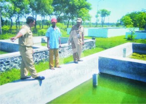 MATI SURI. UPT BBI Kedungasem di bawah naungan Dinas Kelautan dan Perikanan Kota Probolinggo terkesan tak maksimal.