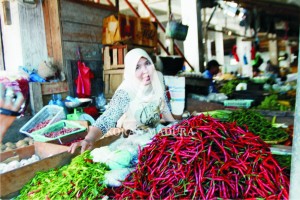 MELAMBUNG. Harga cabai merah besar naik karena pasokan semakin menurun dari petani.