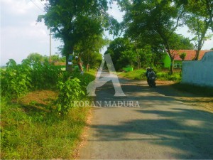 MENGANCAM. Sepanjang jalan Ronggojalu Kabupaten Probolinggo penuh lubang yang sangat membahayakan pengendara.