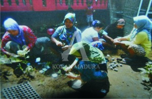 BERDAMPAK. Kawasan Rumah Pangan Lestari diharapkan mampu membantu mengatasi tingkat kenaikan inflasi komoditi pasar.