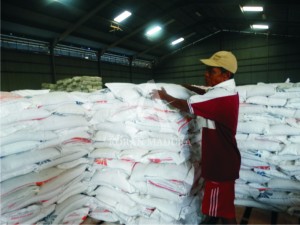 BULOG. Pekerja di Gudang Bulog Kalianget mengangkat raskin. Hingga saat ini, stok raskin yang tersedia di Bulog tersebut masih minin.