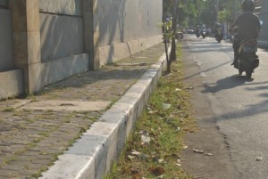 DIKELUHKAN. Kenyamanan pejalan kaki merasa tidak nyaman karena rumput liar tumbuh subur di trotoar.