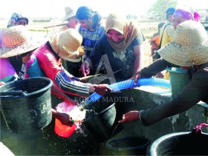GEMBIRA. Warga Dusun Sorok, Desa Majungan, Kecamatan Pamekasan, berebut bantuan air bersih gratis dari pemerintah.