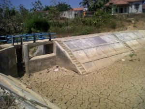 KERING. Kondisi embung Desa Daleman, Kecamatan Kedungdung, Kabupaten Sampang menjadi kering gersang kemarin.