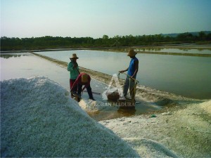 PANEN. Petani garam di kecamatan Kwanyar saat memanen hasil produksi mereka.
