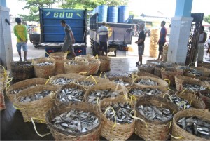 HARUS BERUBAH. Keberadaan Pelabuhan Perikanan Pantai (PPP) Mayangan, seharusnya menjadi tempat pemasaran bagi ikan hasil tangkapan nelayan bukan sebagai tempat penimbangan.