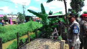 pkl-satpol-pp-bangkalan