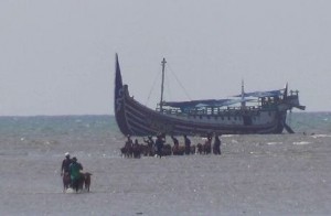 PASOKAN. Lalu lintas pengiriman sapi Madura melalui kapal seiring banyaknya permintaan melalui pintu masuk pelabuhan Kalibuntu, Kabupaten Probolingo.