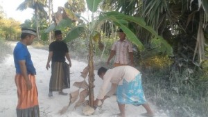 MENANAM. Sejumlah warga Desa Lebbeng Barat, Kecamatan Pasongsongan, menanam pisang di tengah-tengah jalan kemarin. Aksi tanam pisang itu sebagai bentuk protes kepada pemerintah yang tak kunjung memperbaiki kerusakan jalan di desa tersebut.