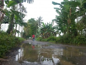 Pengendara melintas di jalan yang berlubang dan menjadi genangan air di jalan poros Kecamatan Ganding menuju Kecamatan Guluk-Guluk. (JUNAIDI)