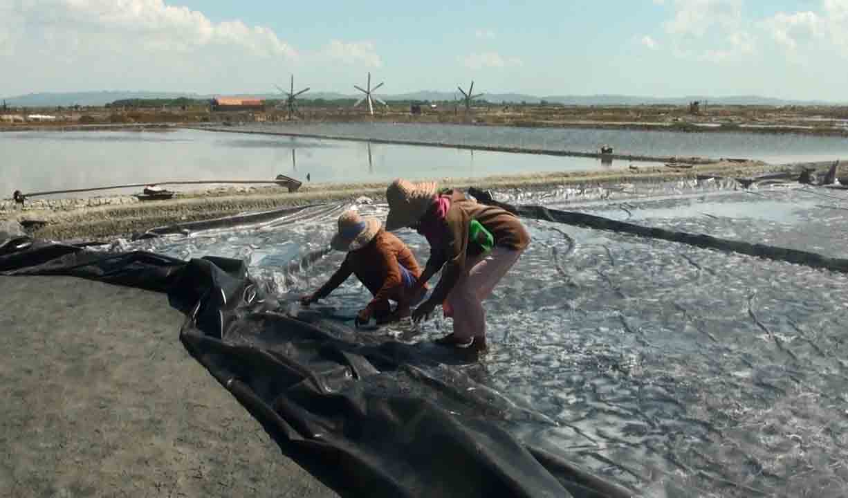 Petani Garam di “Pulau Garam” Kian Menyusut