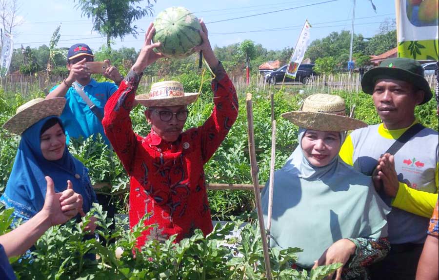 Wakil Bupati Khalil Asy’ari Resmikan Agrowisata Pamekasan Keren