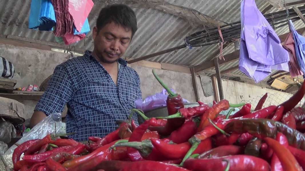 Pemerintah Hanya Fokus Pengendalian Harga Beras