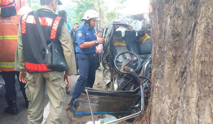 Diduga Ngantuk, Pengemudi Carry Tewas Terjepit Pohon