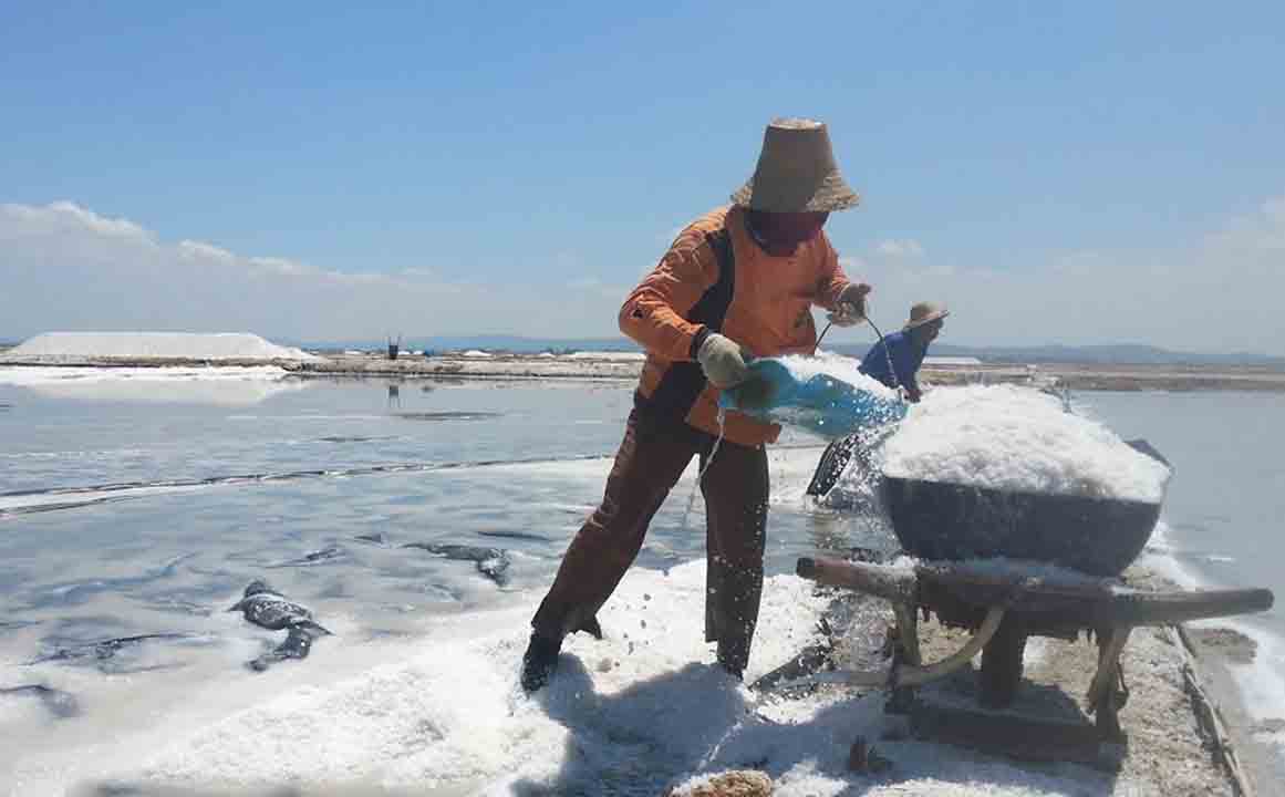 Harga Garam di Sumenep Mulai Lesu