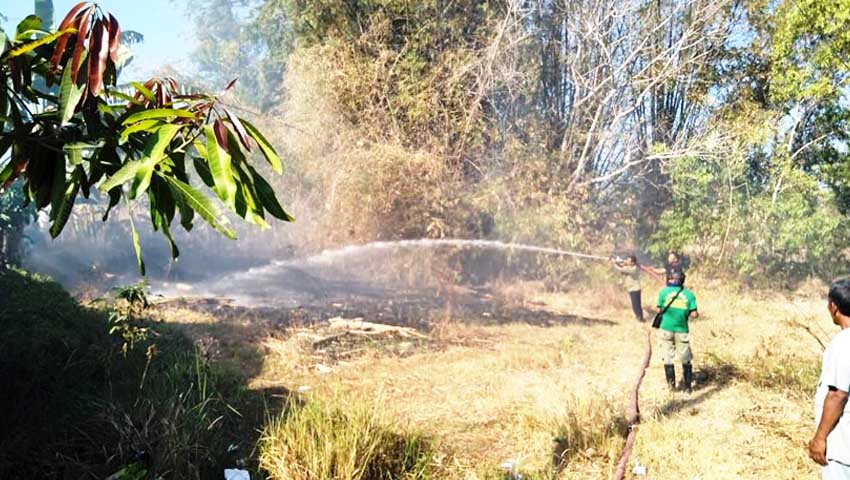 Si Jago Merah Kembali Lahap Lahan Kosong di Pamekasan