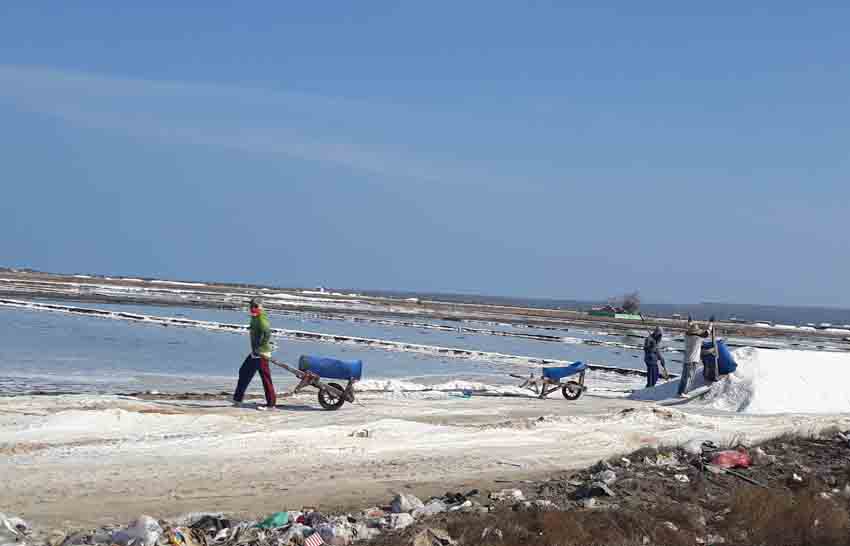 Produksi Garam di Sumenep Lampaui Target, Tapi Harga Rp 1.000/Kg