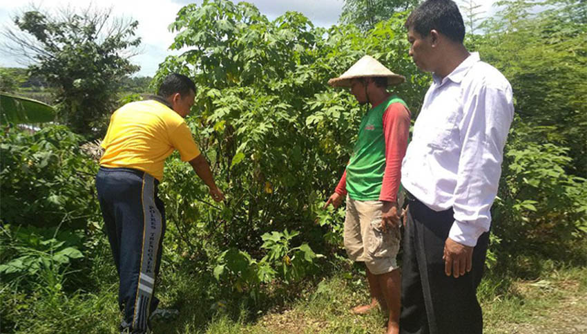 Bikin Geger, Warga Temukan Bayi Masih Hidup di Pinggir Sawah