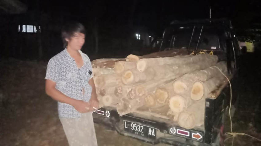 Terlibat Illegal Logging, Warga di Kepulauan Sumenep ini Diamankan Polisi