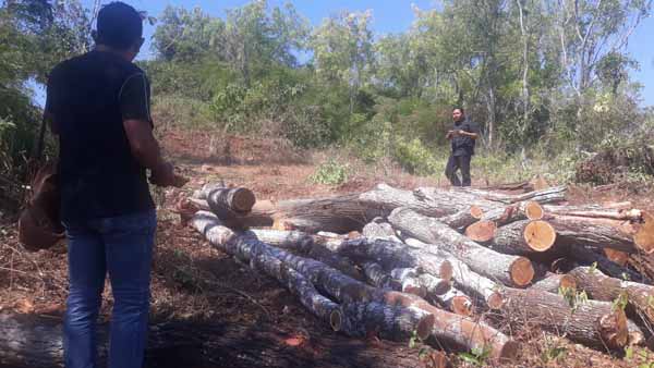 Besok, Perhutani Cek Lokasi Lahan Pekerjaan Jalan Lingkar Utara