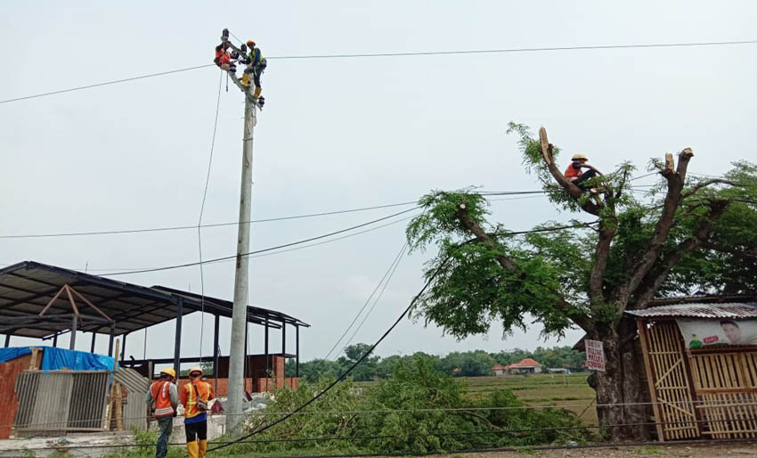 Enam Tiang Listrik Roboh karena Puting Beliung, PLN Bangkalan Alami Kerugian Rp 150 Juta