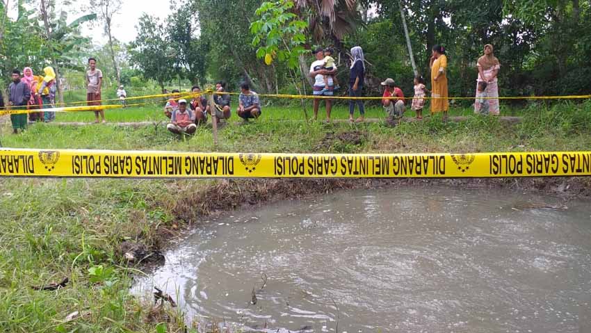 Warga Sumenep Dihebohkan Air Sawah “Mendidih”