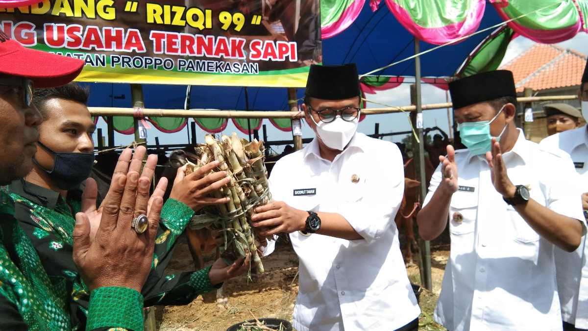 Pantau Bazar Hewan Kurban Berbasis Syariah, Bupati Pamekasan Dorong Peternak Serius Garap Usahanya