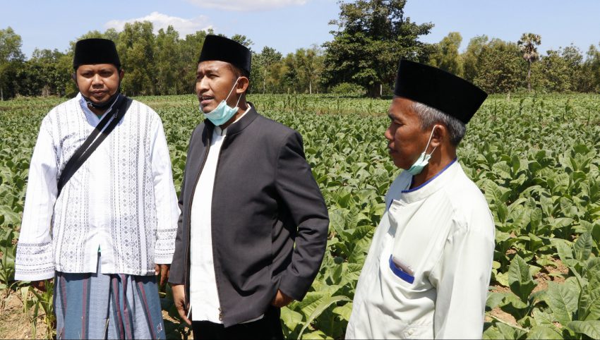 Wabup Achmad Fauzi saat mendatangi lahan pertanian tembakau di Desa Prancak, Kecamatan Pasongsongan, Kabupaten Sumenep. (ist)