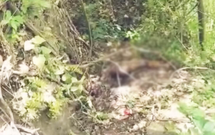 Geger Penemuan Mayat Perempuan di Area Perbukitan Desa Paopale Laok
