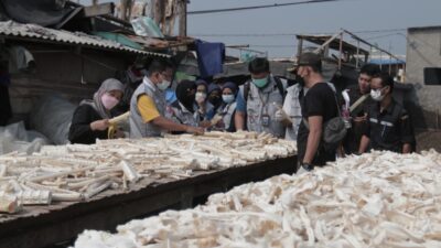 KKP lindungi hiu dan pari
