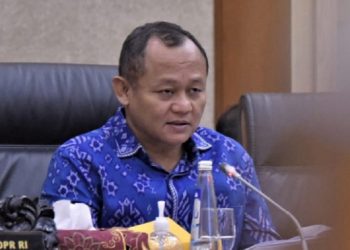 Sarmuji soal PMN PLN