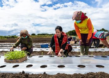 Puan Maharani Minta Pemerintah Bantu Petani yang Gagal Panen