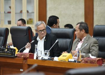 Disetujui Komisi VI, 3 BUMN Ini Sah Dapat PMN