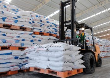 Solusi Alternatif Pupuk Bersubsidi Bagi Petani, Petrokimia Gresik: Miliki Kandungan Lebih Lengkap