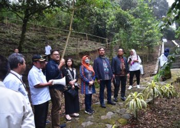 Perhutani Diminta Beri Profit untuk Negara