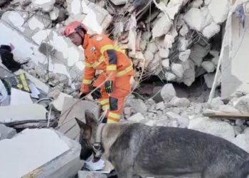 Tiba di Turki, EMT Polri Langsung Bergerak Cari Korban
