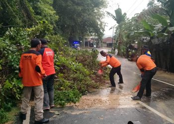 Hujan Deras Sebabkan Tanah Longsor di Jalan Sumber Waru Pamekasan