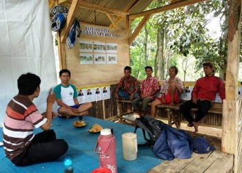 Bekas Sawah Jadi Kolam di Bogor Sukses Produksi 3 Ton Nila