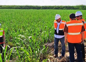 Kemenperin Apresiasi PT PNS Kembangkan Industri Gula Terintegrasi di Lahan Rawa