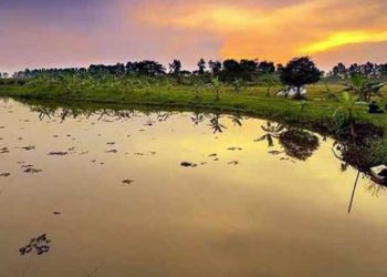 Kembalikan Fungsi Tampungan Air, Kementerian PUPR Segera Revitalisasi Situ Cihuni