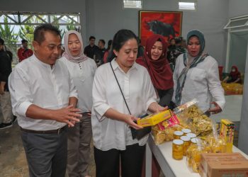 Kunjungi UMKM di Wonosobo, Puan Dorong Oleh-oleh Carica Go Internasional
