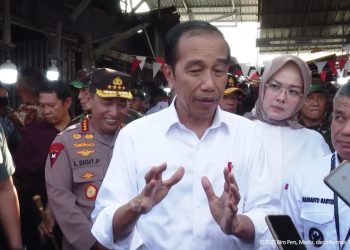 Presiden Jokowi Apresiasi Pertumbuhan Ekonomi Sulteng