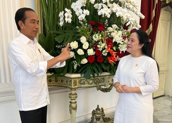Maraton Temui Keluarga Jokowi, Setelah Gibran Puan Bertemu Jokowi