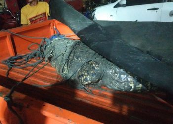 Niat Tangkap Ikan, Warga Bangkalan Malah Dapat Buaya