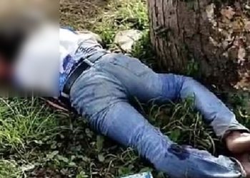 Laka Tunggal di Jalur Pantura Sampang, Pengendara Motor Asal Pamekasan Tewas Hantam Pohon