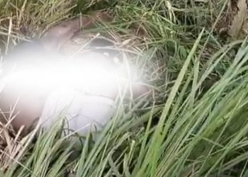 Dua Hari Hilang, Remaja Asal Kamal Ditemukan Meninggal di Semak-Semak Socah